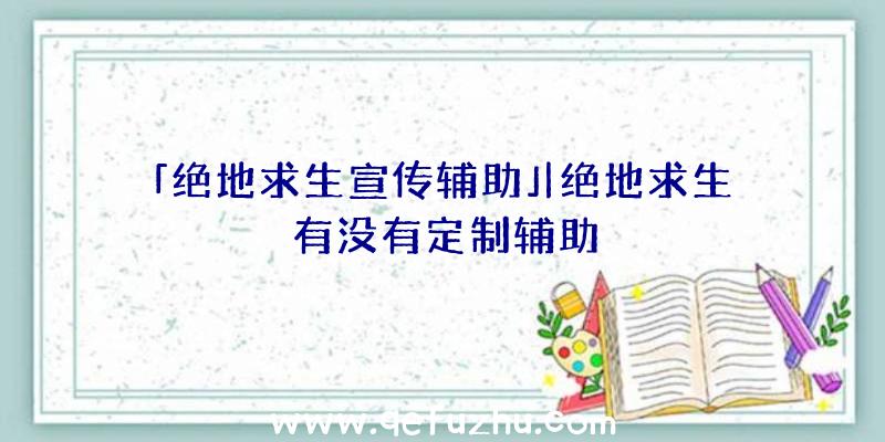 「绝地求生宣传辅助」|绝地求生有没有定制辅助